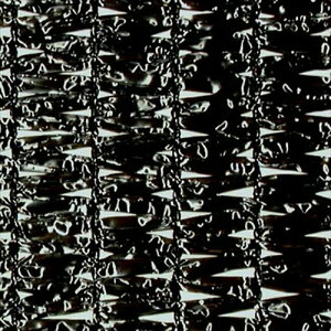 2m×50m  Ռ90`95 _CIbZ Ռlbg 2000  CmxbNX TT kCs lzs s