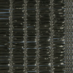 2m×50m  Ռ80`85 _CIV[g Ռlbg 12  CmxbNX TT kCs lzs s