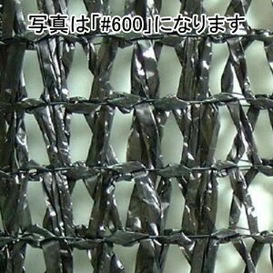 lzs 2m×50m  Ռ30 CGlbg Ռlbg #200  ] ^S s