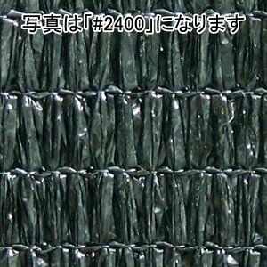 lzs 2m×50m  Ռ92 CGlbg Ռlbg #2000  ] ^S s