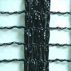 lzs 2m×50m  Ռ50 CGlbg S^Cv Ռlbg S-1315  ] ^S s