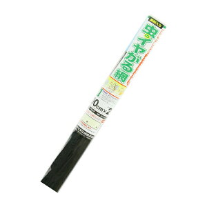 50{ ̃C 90cm×2m 20bV ubN ւ p Ԍ CmxbNX kCs lzs TT s