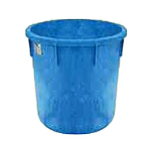 _CCg ی^e T-100bg (ڐt) A lzs kCs s