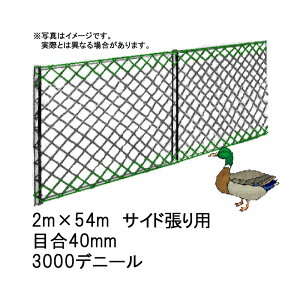 7{ lbg TChp 2m×54m 40mm ڍ 3000fj[  񂱂 {Br hlbg  kCs s