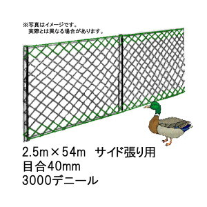 6{ lbg TChp 2.5m×54m 40mm ڍ 3000fj[  񂱂 {Br hlbg  kCs s