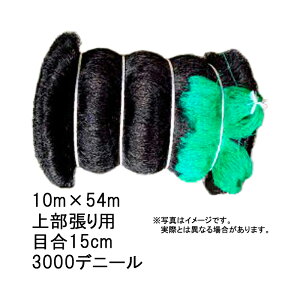 12{ lbg 㕔p 10m×54m 15cm ڍ 3000fj[  񂱂 {Br hlbg  kCs s