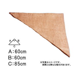 600枚 グリーンシート 三角 60 60cm × 60cm × 85cm 早S 代引不可