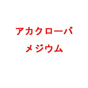  20kg AJN[o WE  n _ iϗp Δ c S s (o^i햼:WE)