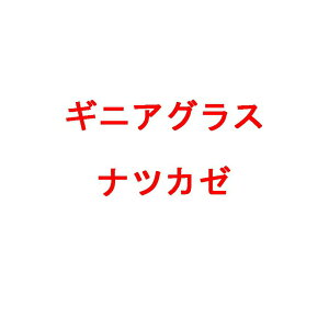  20kg MjAOX icJ[ q  } Δ c S s (o^i햼:icJ[)