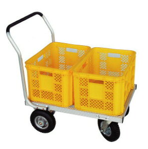 nbNX ؍ A~ nEXJ[ CHJ-700 2֎݃^Cv hJ lzs s