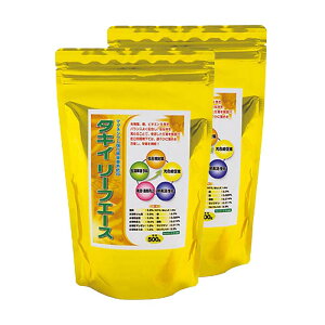 20 ^LC [tG[X 500g tFP h{⋋ _f  } gn[X ^LCc s