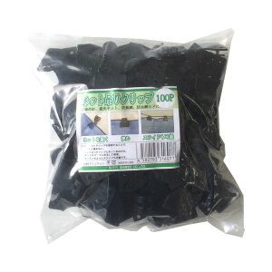 100×48 v lbg݂Nbv Ռlbg hlbg hlbg hlbg  ݂RɈ|邽߂ Nbv VZC s