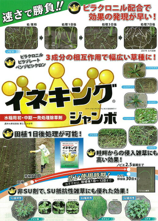 楽天市場 イネキングジャンボ 500g 水稲除草剤 農薬 イn 送料無料 代引不可 プラスワイズ業者用専門店 楽天市場 イネキングジャンボ 500g 水稲除草剤 農薬 イn 送料無料 代引不可 プラスワイズ業者用専門店