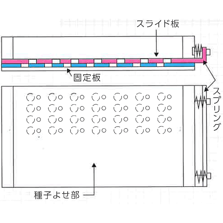 楽天市場】ポットル タキイ 根巻防止M型トレイ 200穴 2L ネギ用3粒播