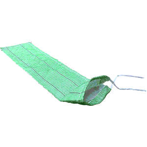 100 ^O[`bN2 Aŷ Ή V{Ή B lzs {B̔ s