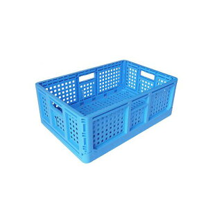 ܂肽݃Rei F 10Zbg S lzs s