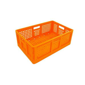 ܂肽݃Rei IW 10Zbg S lzs s