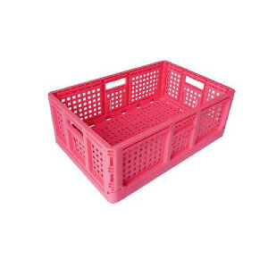 ܂肽݃Rei sN 10Zbg S lzs s