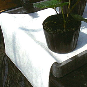 ՍV[g RG-W 120cm×100m  ANAx[ ՍV[ĝ hV[g c  xJ J{ lzs s