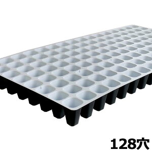 100 vOgC  128 8×16 30×59cm 128(W) vOg[ ZgC d@Bp A lzs s