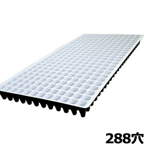 100 vOgC  288 12×24 30×59cm 288(W) vOg[ ZgC d@Bp A lzs s