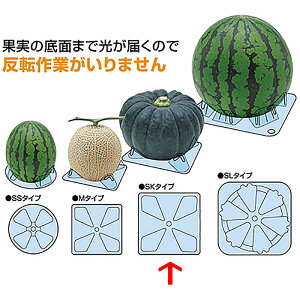 VGc}bgSK Z ʐZp 145×145×H25 1600 XCJ J{` ^S s