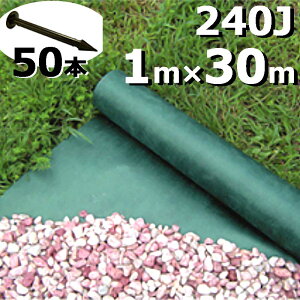 kCs O[rX^ GV-240J1.0P 1m×30m vs 50{t V[g hV[g f| B s