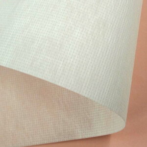 XJCebN E05050 200cm 100m J[e sDz ^LCc kCs s