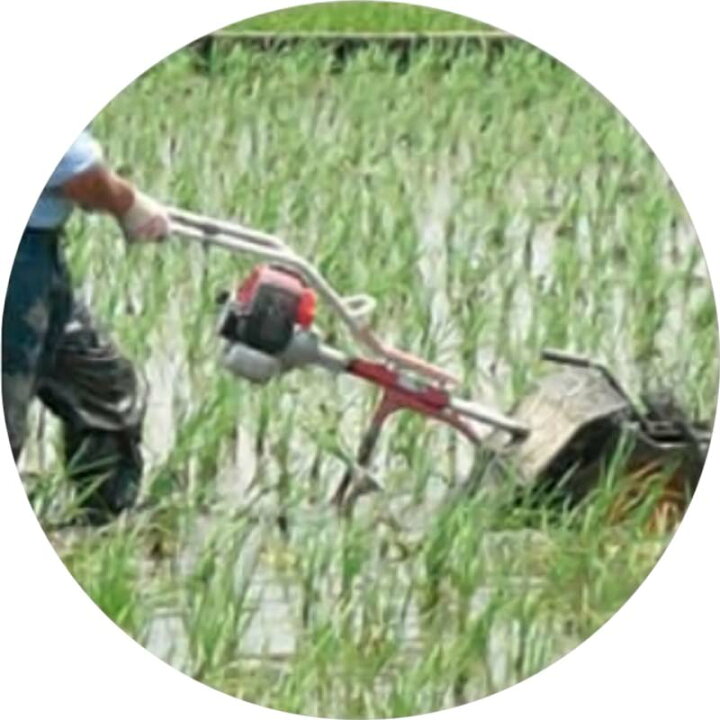 楽天市場】水田中耕除草機 2条 MJ26-Z ゼノア ミニカルチ 大竹製作所 
