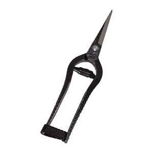 K-8 ŕ  MB^ bi ѐ H [