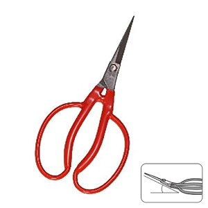 K-21 XeX Ԃǂ Ȃ  uhE ѐ H [