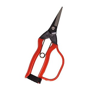 J-11G  K[ht ѐ H [