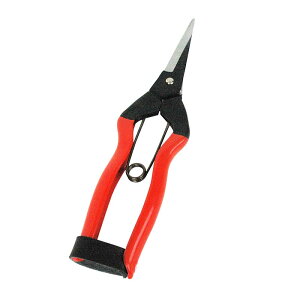 K-10L ʎ p B^ ѐ H [