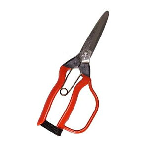 J-3G XeX n K[ht ѐ H [