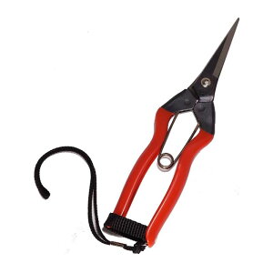 K-10S ʎ Xgbvt ѐ H [