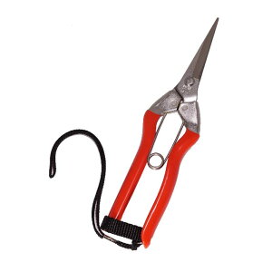 S-1S XeX ʎ XeXol Xgbvt ѐ H [