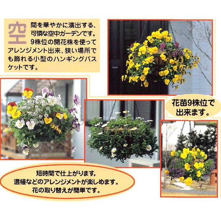 434円 当季大流行 伊藤商事 スリットバスケットSLT-25用植え替えスポンジ 5枚入り 1袋 グレー 434円 当季大流行 伊藤商事 スリットバスケットSLT-25用植え替えスポンジ 5枚入り 1袋 グレー
