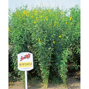  20kg N^A l}R n ΍ Δ dF2`9 c S s (o^i햼:l}R)