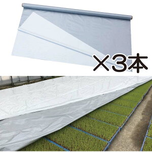 3{ nCzCgVo[ 2.7×50m cpV[g p cĂh~  ۉ n}  ې 핢 J}eA ^S lzs s