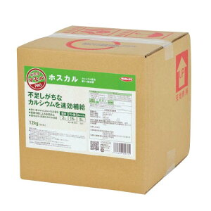 zXJ 10L _t TJ^}V[Y t̔엿 t 엿 _ JVE tʎUz  ʎ ԙ _ _Ɨpi TJ^̃^l s