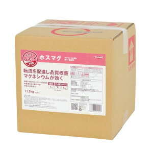 zX}O 10L _t t̔엿 TJ^̃^l TJ^}V[Y s