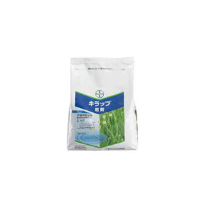 Lbv 3kg E _ CN s