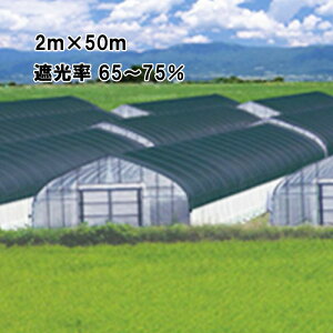 2m×50m  Ռ65`75 ChXN[ Ռlbg BK1010  {ChNX ^S lzs s