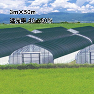 3m×50m  Ռ40`50 ChXN[ Ռlbg BK1206  {ChNX ^S lzs s