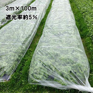 3m×100m �� �Ռ�����5�� �����t �Ռ��l�b�g HS-3000 ����� JX ANCI �^S ����s��