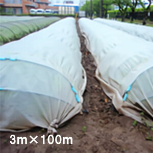 3m×100m () ʂʂ Ռlbg ANW10  JX ANCI TT s