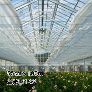 55cm×100m  Ռ15% _CInCuX Ռlbg 1500N  CmxbNX TT kCs lzs s