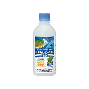  Eۍ ^`KG[X M t 500ml O䉻w _ CN s