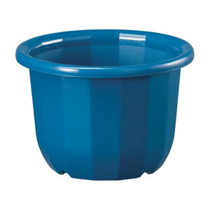 80 ֔ 5 u[ |bg  Aւ x[VbN|bg }g ^S lzs s a