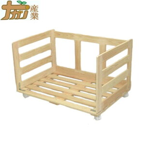 Ђ̂̂S N[[bgp 80×55cm O ̂ iKmY s